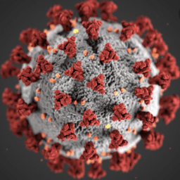 COVID-19: shocking info may help!