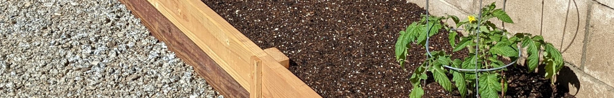 VeggieTravelShow.com – veggie food, travel & music!