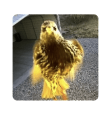 This is absolutely wild!