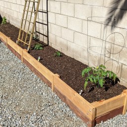 Getting the 2022 garden going…