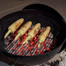 A new fitness journey…