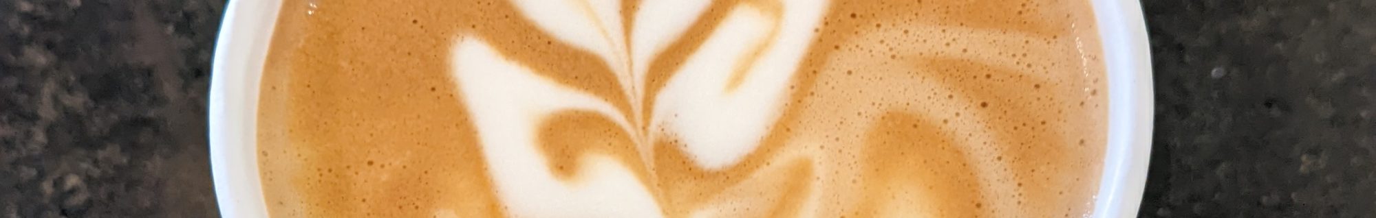 VeggieTravelShow.com – veggie food, travel & music!