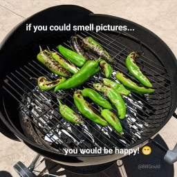 Video recipe: the best cheese stuffed peppers – step by step instructions