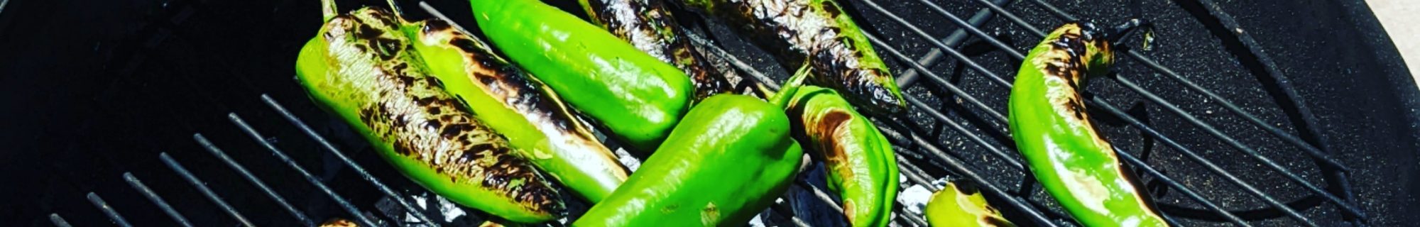 VeggieTravelShow.com – veggie food, travel & music!