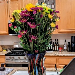 Valentine’s Day & New Me Day 24: