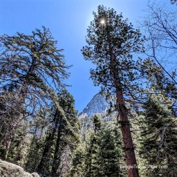 Idyllwild is absolutely beautiful!!