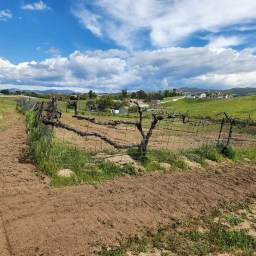 We Don’t Want a House, We Want Ingredients